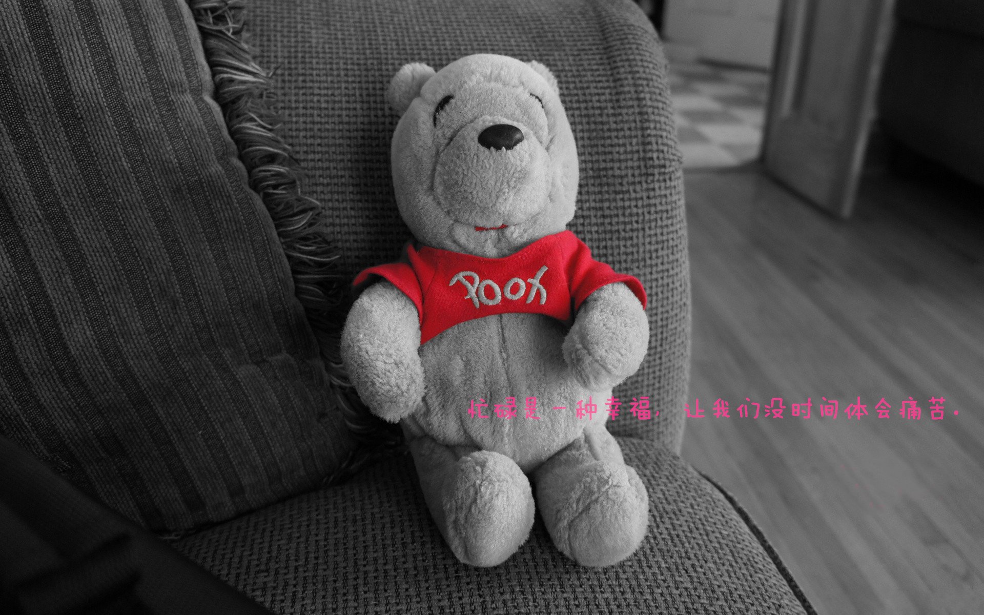 AYX SPORTS-政府加大足球投入，支持产业发展，政府加大足球投入,支持产业发展